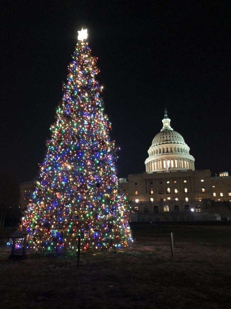 us capitol christmas tree