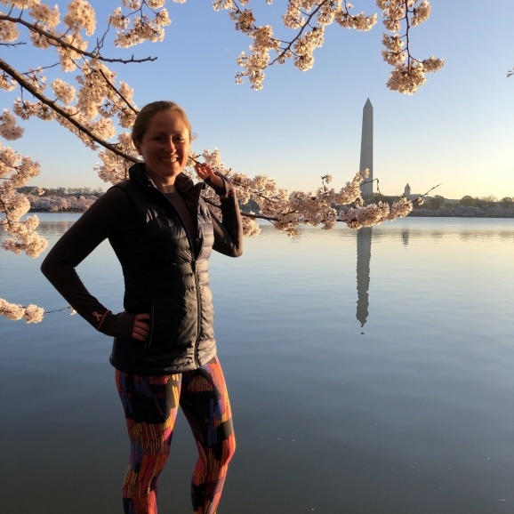 dc cherry blossoms 2019