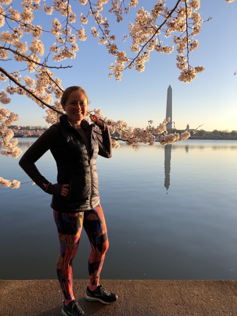 dc cherry blossoms 2019