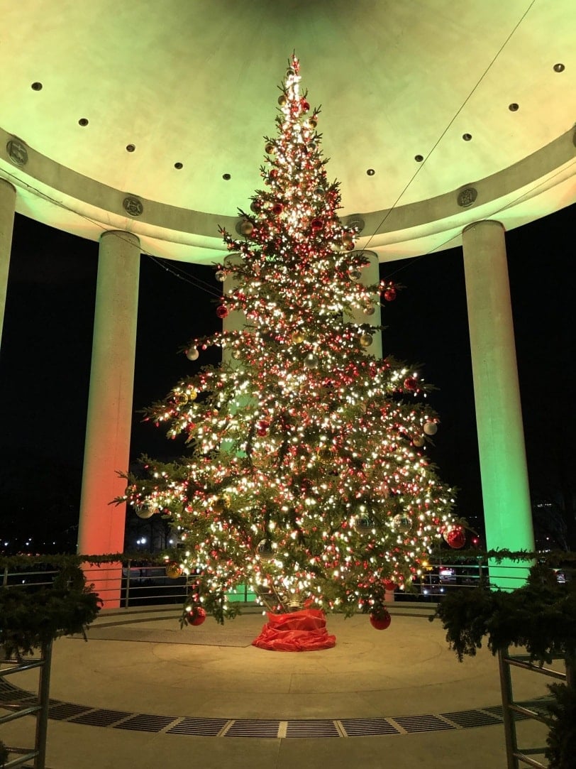 canadian embassy christmas tree