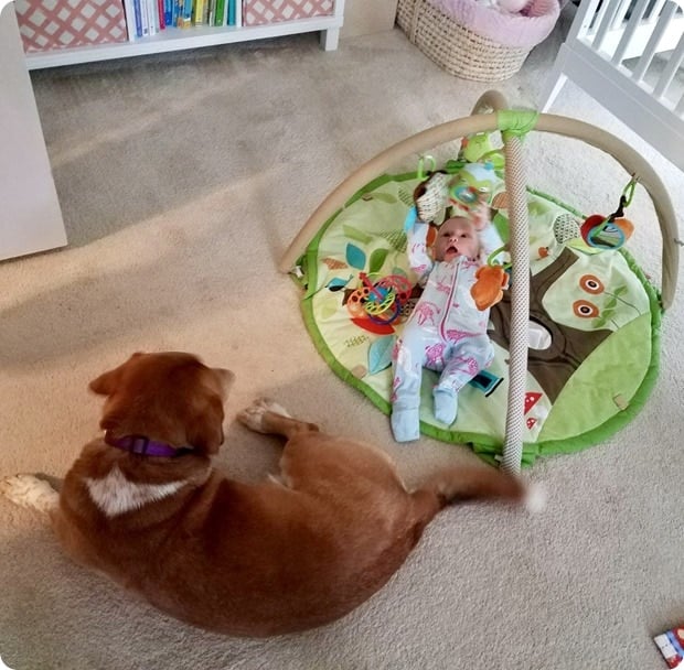 baby with dog friend