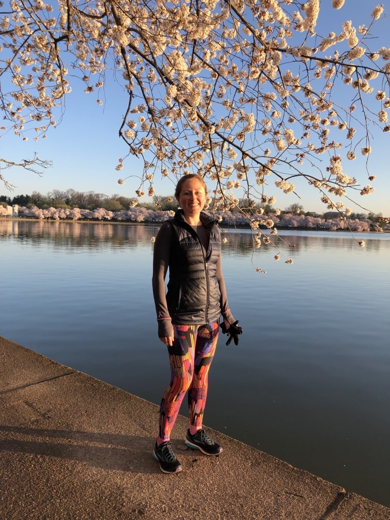 dc cherry blossoms 2019