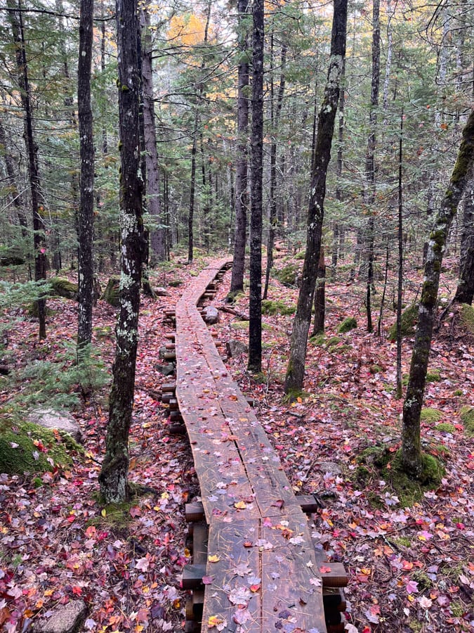 a boardwalk on the giant slide hike in acadia 