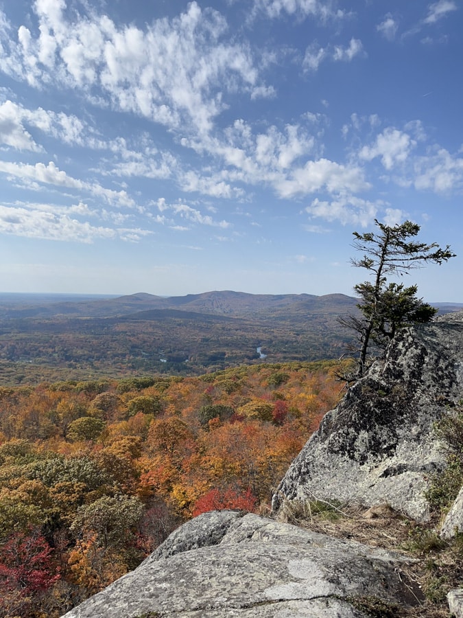 view from adams lookout in camden hills state park