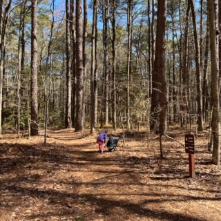 hiking in blackwater national wildlife refuge