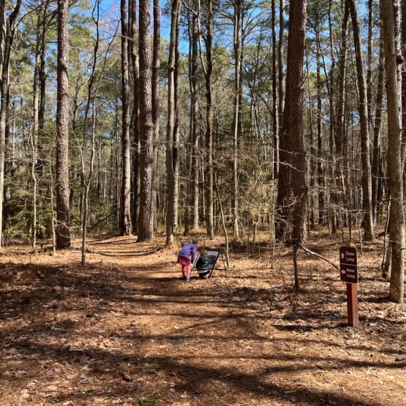 hiking in blackwater national wildlife refuge