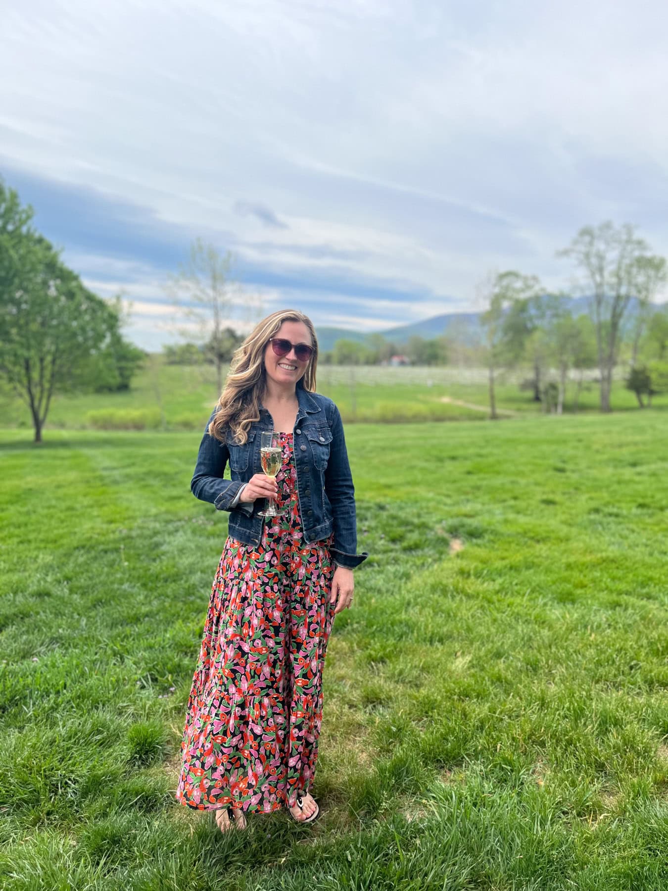 veritas vineyard