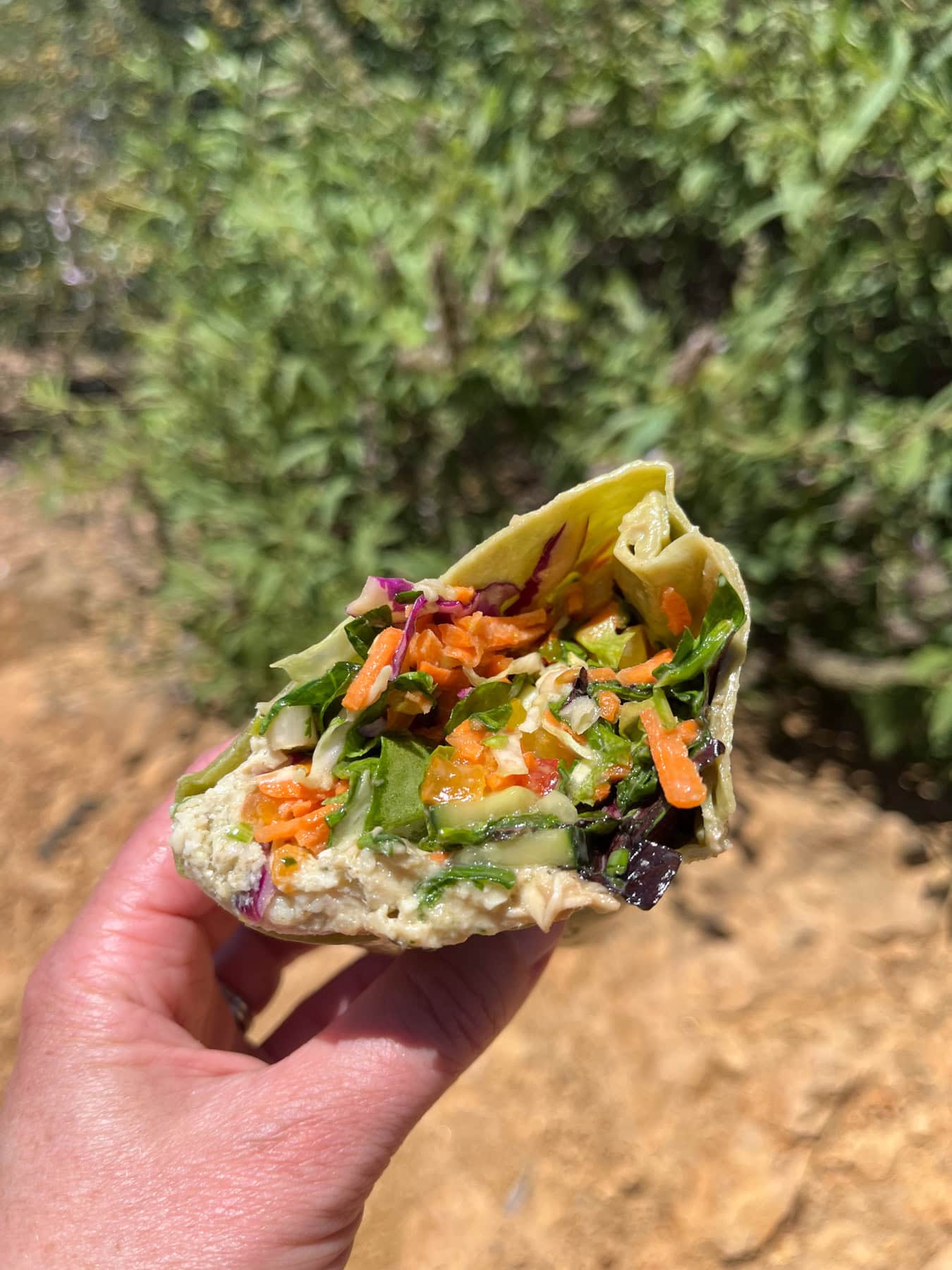 pickles and swiss asian chicken wrap