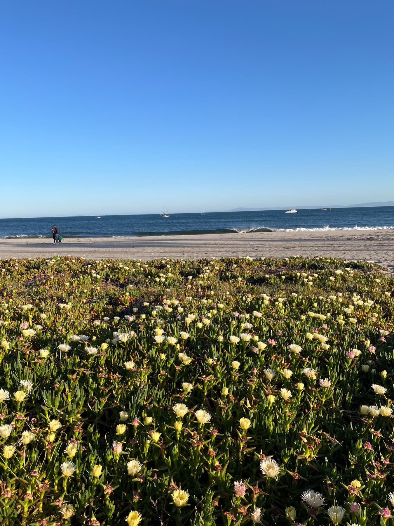 santa barbara beach