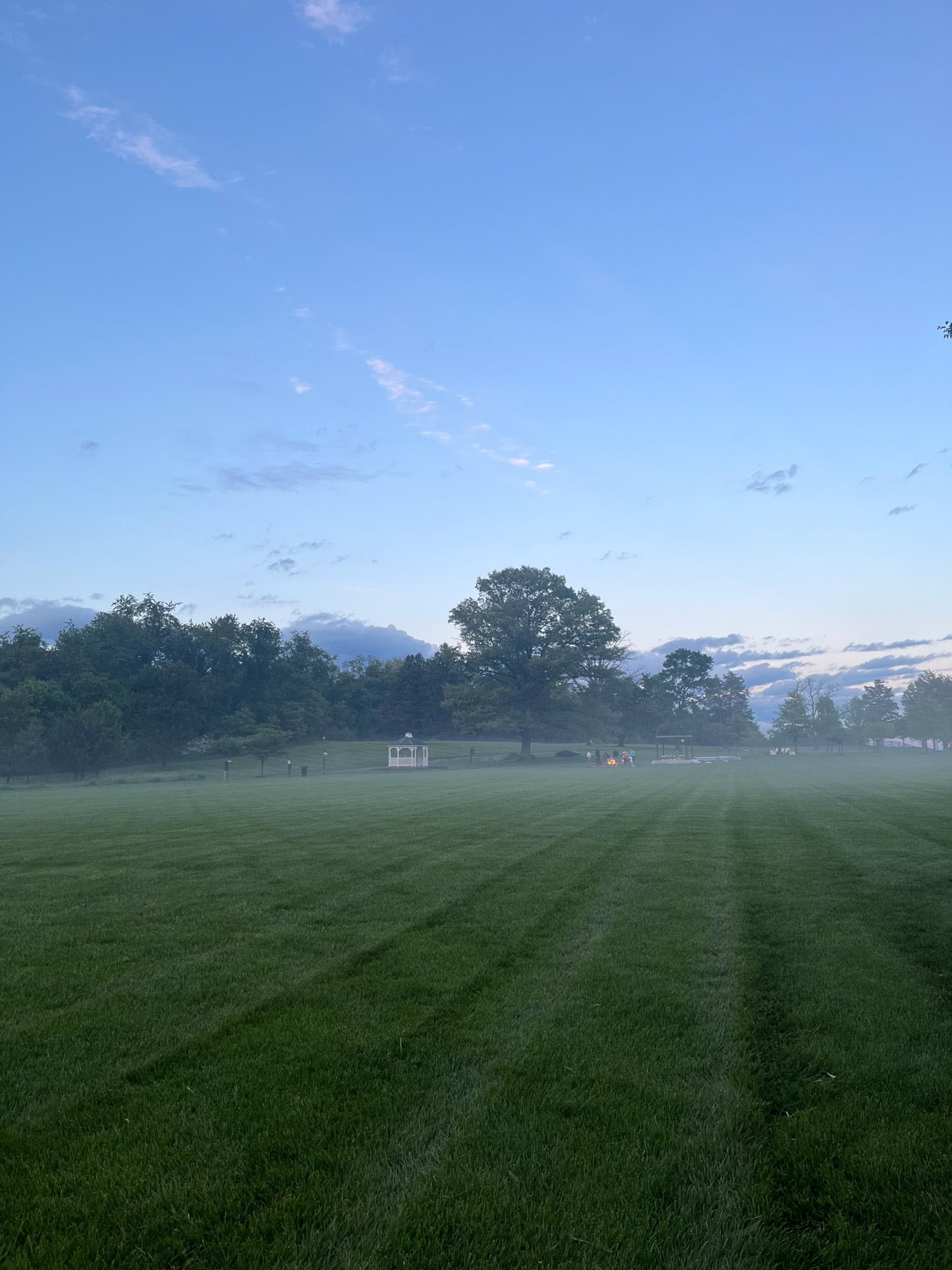 fog at the salamander hotel
