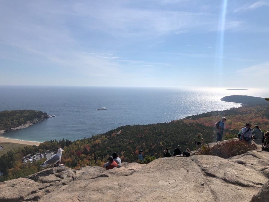view of the ocean from the beehive hike