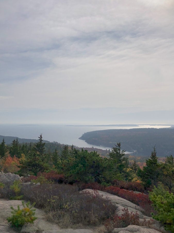 view from gorham mountain trail summit