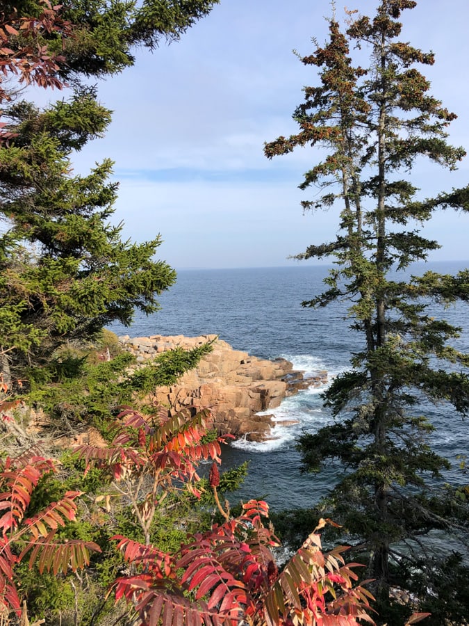 october scenery in acadia national park