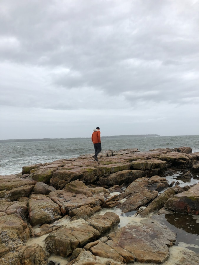 exploring the rugged maine coast