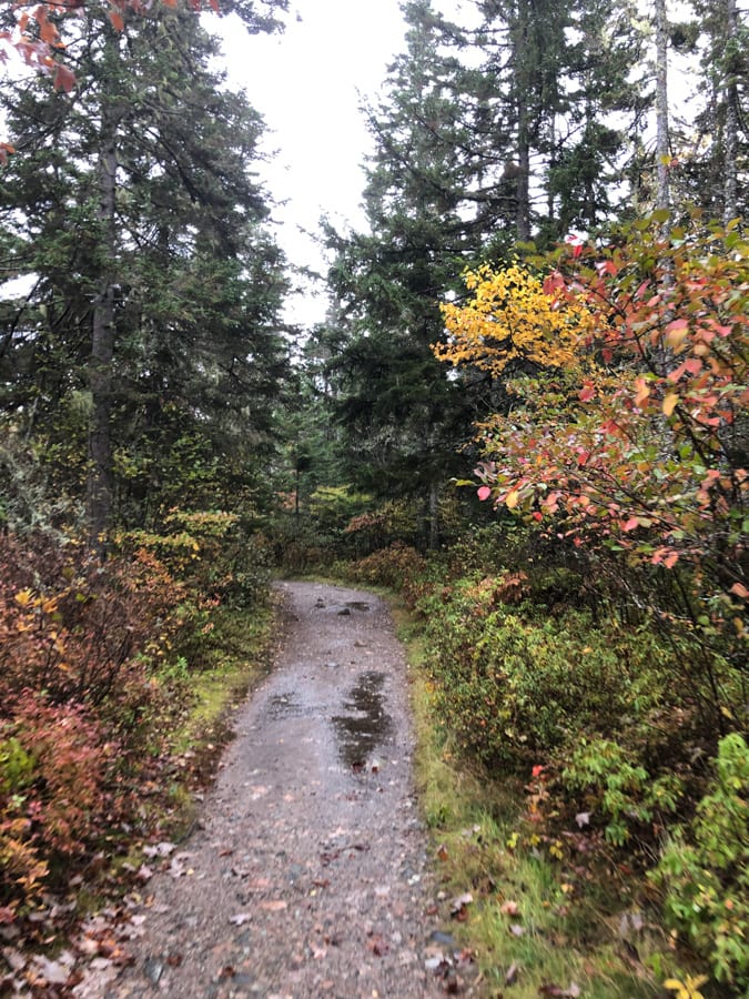 wonderland trail in maine