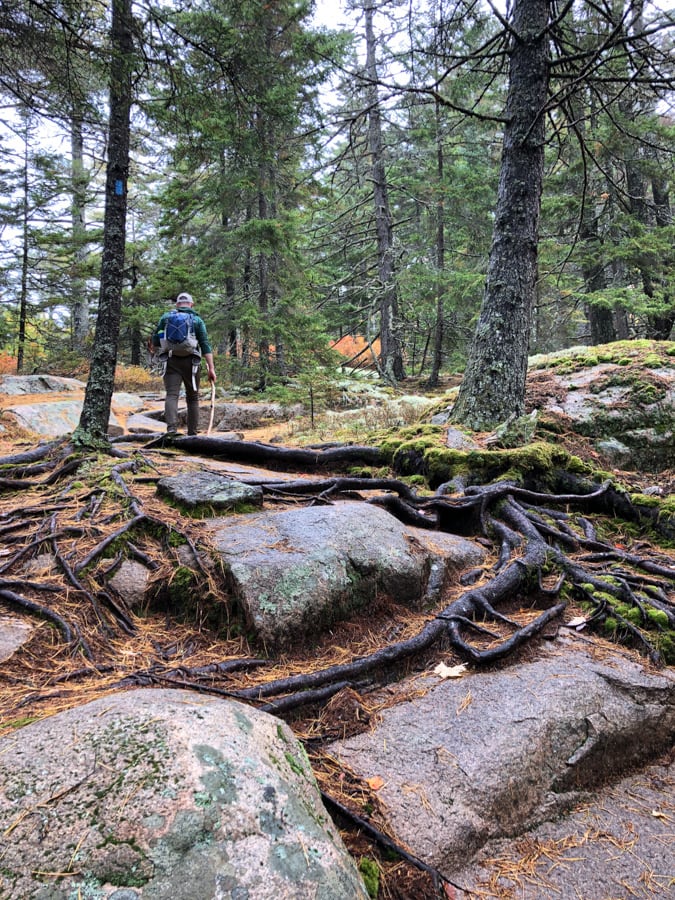 rocky giant slide hike in acadia