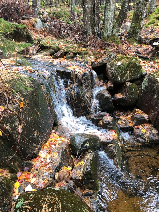 stream on the giant slide hike