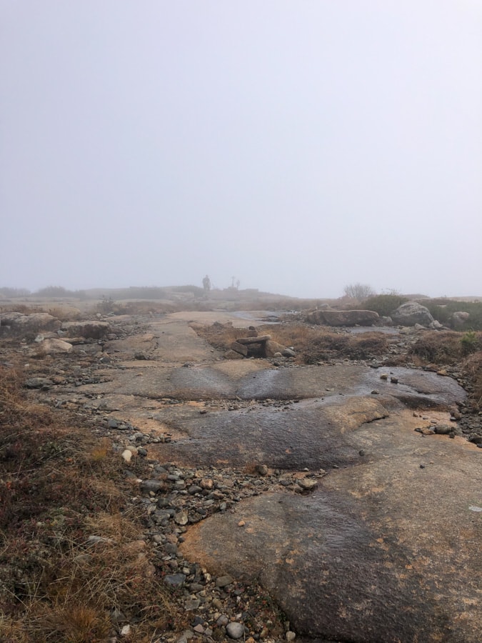 foggy sargent mountain view