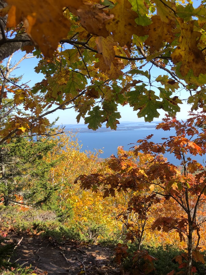 fall foliage in camden hills state park