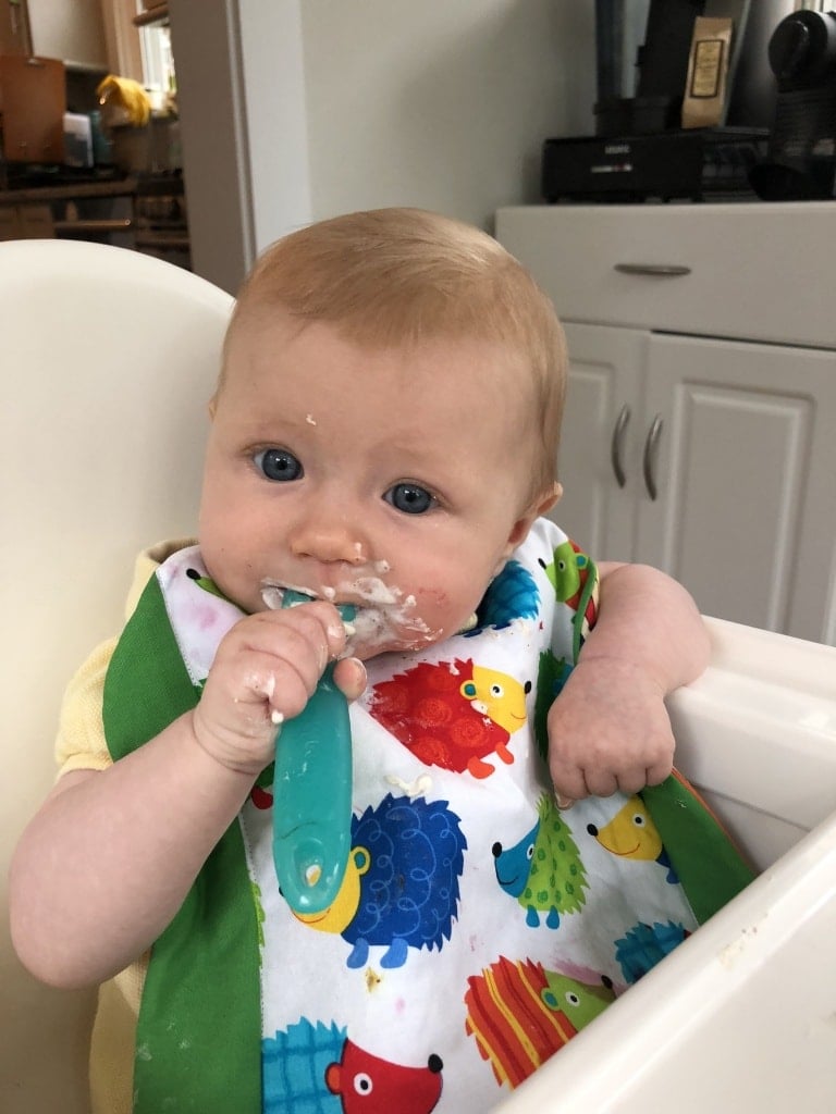 baby led weaning