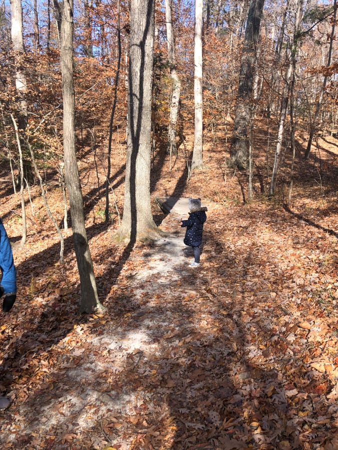 lake anna state park hike with kids