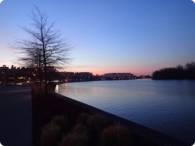 georgetown running sunrise