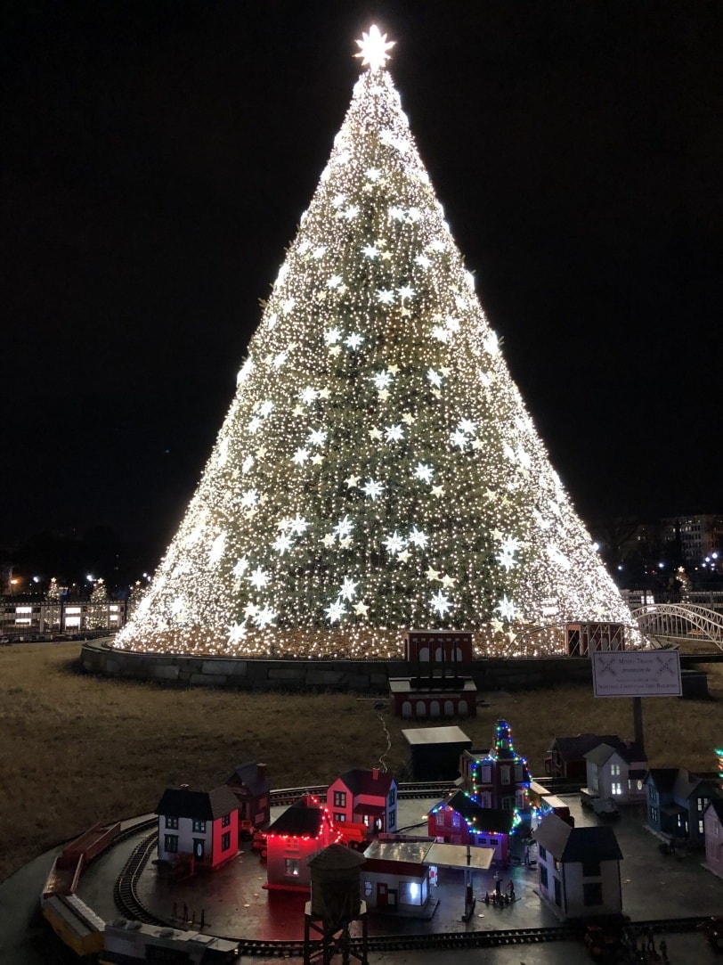 dc christmas national tree