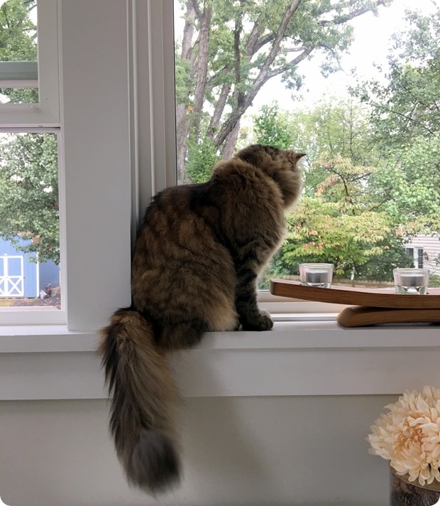 rainy day perspective