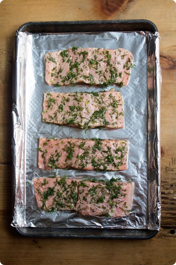 salmon with mustard dill sauce step 4 how to make salmon with mustard dill sauce step 4