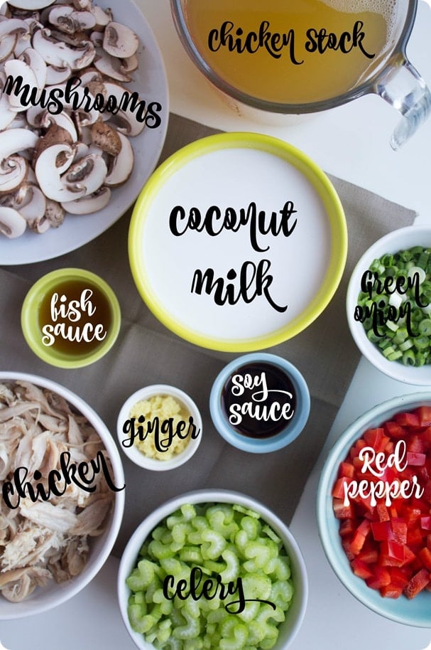 thai coconut chicken soup ingredients thai coconut chicken soup ingredients