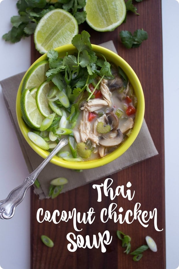 thai coconut chicken soup thai chicken soup with coconut milk