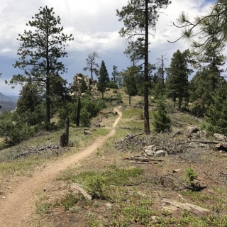 through hiking the colorado trail