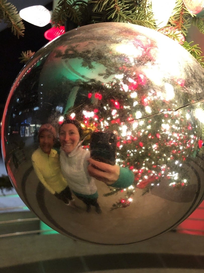 running tour of dc christmas lights trees
